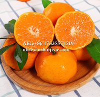 Oranje Diameter Grootte Sorteermachine/Tangerinr Mandarijn Fruit Grootte Sorteren Machine/Fruit Plukken Machine Te Koop