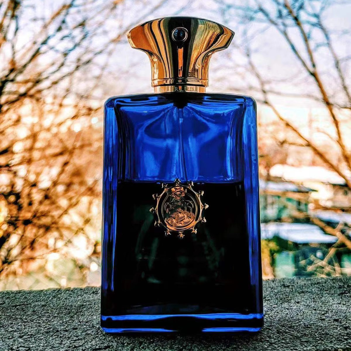Oil Fragrance Amouage Interlude Oil Amouage Interlude Women Scent