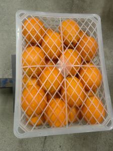 赣南有机无籽脐橙含糖量高色泽鲜艳直销厂家发货新鲜柑橘类水果 - Product Image 5