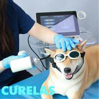 Appareil de thérapie laser vétérinaire professionnel, équipement de thérapie laser de classe 4 pour la cicatrisation des plaies chez les chiens, les chats et les animaux de compagnie, et les blessures sportives