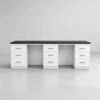 Mesa de Laboratorio Anticorrosiva con Superficie de Resina Fenólica, Resistente a Ácidos y Álcalis, con Gabinetes de Múltiples Cajones