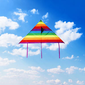 Cometa Weifang personalizada nueva cometa publicitaria para niños y adultos dibujos animados de alta calidad La brisa es fácil de volar. - Product Image 5