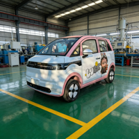 Mini-bus électrique fermé 4 places pour bébé, 4 roues, mobilité quotidienne adulte, batterie Li 200Ah, autonomie 300km, vitesse 55km/h