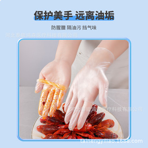 Titanfine Disposable Transparent Pvc <b>Gloves</b> Food Grade For Home And Catering Use - Product Image 2