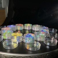 Les pigments phosphorescents brillent dans la peinture caméléon en poudre sombre grippe électroluminescente inorganique
