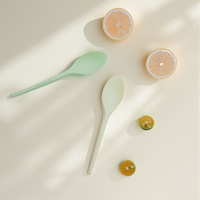 Ensemble de couverts de mariage Greenday, vaisselle de fête, service de traiteur, ustensiles alimentaires, table à manger, vaisselle jetable pour la maison, cuillère en CPLA