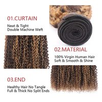 HOPE HAIR P4-27 #   Cheveux humains vierges brésiliens Remy de qualité 9A, 100 % naturels, double trame, bouclés crépus, pour tresses, longueurs de 10 à 30 pouces