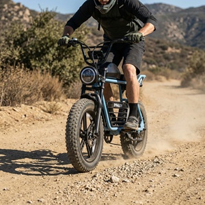 Abenteuer-Trekking-Mountainbike mit 20 Zoll Fat Tires, E-Mountainbike für Geländewege und Feuerwehrstraßen - Product Image 2
