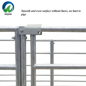 Équipement d'élevage porcin personnalisé : Étable à porcs, Parc à porcs, avec composants essentiels pour la <span class=keywords><strong>cage</strong></span> de truie, la <span class=keywords><strong>cage</strong></span> de crabeau et le box de truie - Product Image 5