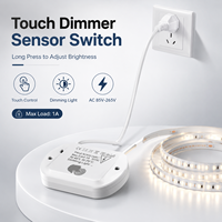 Interruptor táctil de atenuación para empotrar en madera AC110-240V 200W con regulación continua para armarios y roperos, fabricante OEM