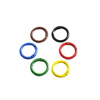 Hochwertiger, individuell gefärbter Karabinerhaken aus Zinklegierung mit Federverschluss, O-Ring, alle Größen erhältlich, für Handtaschenbeschläge