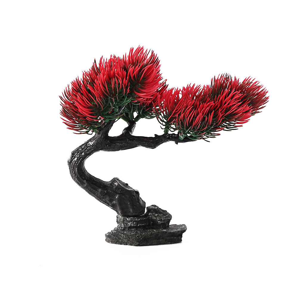 Single Beauty Pine Big Red