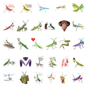 50PCS Cartoon insect playing mantis cute <strong>bug</strong> sticker - Product Image 4