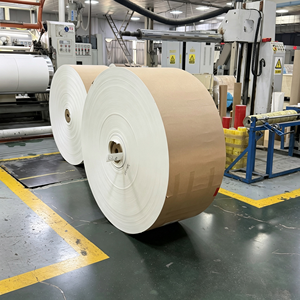 Rouleau de papier couché PE C2S, poids personnalisé, qualité alimentaire, imperméable, anti-fuite, taille personnalisée pour l'emballage alimentaire à emporter - Product Image 1