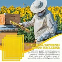 Nouvelle grille d'exclusion de reine en plastique jaune Witbee QE-5 pour ruche Langstroth à 10 cadres 51x41cm, garantie 1 an, équipement d'apiculture