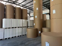 Le papier bon marché de 250g-400g sinosea fbb/c1s/carton ivoire 350g carton pliable