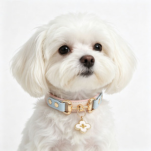 Zenos Elegant Cow Leather Soft Durable Pet Collar for Small <b>Dogs</b> and Cats - Product Image 1