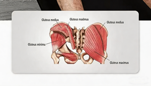 Micogo - Ejercitador de Muslos Internos, Equipo de Entrenamiento de Piernas, Tonificador de Cadera para Hombre, Tonificador de Muslos Internos - Product Image 6