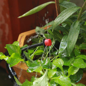 Kit d'<span class=keywords><strong>arrosage</strong></span> automatique des plantes, système d'irrigation à monter soi-même, minuterie goutte-à-goutte réglable, 15 20 25 30 M - Product Image 5