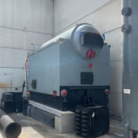 Chaudière à vapeur horizontale à tubes de feu, à commande manuelle, pour extérieur, à biomasse de bagasse, de 1 à 20 tonnes par heure, personnalisable
