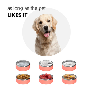 Eco Friendly aço inoxidável cliente vácuo térmico <span class=keywords><strong>Pet</strong></span> Dog Bowls <span class=keywords><strong>Pet</strong></span> Water Food Bowls
