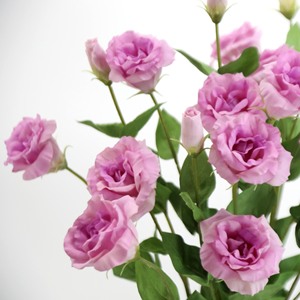 Flores Decorativas Artificiales Lisianthus <span class=keywords><strong>Eustoma</strong></span> de Tacto Real para Bodas y Hogar, 3 Cabezas, Color Blanco y Rosa, Flor de Campana China Artificial - Product Image 3