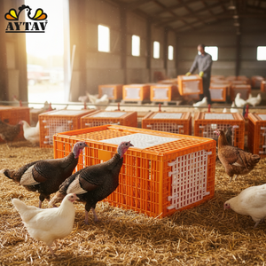 AYTAV Automatic PE <b>Plastic</b> H-Type Chicken Top Side Doors New Motor Included Turkey Transport Farm Use Bird House 3-4 Capacity - Product Image 3
