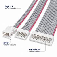 Rakitan Kabel Pita Datar Kustom Multi Pin untuk Kontrol Industri dan Peralatan Elektronik