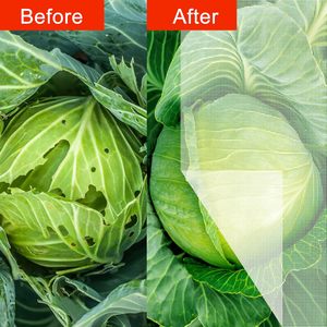 Trinh Nữ HDPE + UV nhựa côn trùng lưới nhà kính chống côn trùng lưới nông nghiệp vườn Net kháng sâu bệnh - Product Image 4