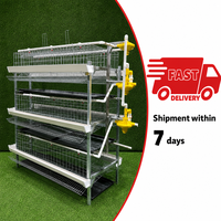Cage à poules pondeuses pour équipement avicole, prête à être expédiée, système de cages en batterie en fil de fer galvanisé soudé pour l'élevage de poules pondeuses et de poussins