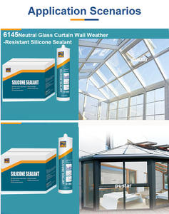 Per PUSTAR OEM Silicone di alta qualità sigillante neutro GP adesivo vetro colla bianco colore nero campione libero disponibile - Product Image 2
