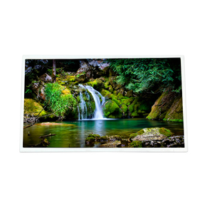 GV101FHB-N10-4850 ลดราคา จอแสดงผล LCD ขายส่ง OEM ขนาด 10.1 นิ้ว 1920RGB*1080 FHD 218PPI สำหรับอุตสาหกรรม - Product Image 1
