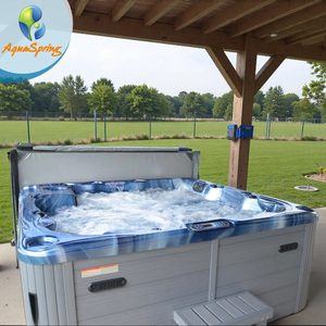 Aquaspring Recommend 121 Pcs Jets et 6 Places Luxury Hot Tub Jacuzzier Massage Hot Tub <span class=keywords><strong>Balboa</strong></span> Spa Control System avec pompe à chaleur - Product Image 1