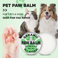 Brosse lissante autonettoyante naturelle 60g pour chiens et chats avec picots en acier inoxydable, design moderne et minimaliste pour le soin des pattes et du nez