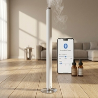 Diffuseur d'arômes intelligent sans eau pour hôtel de luxe, grande surface, avec application et télécommande, pour huiles essentielles
