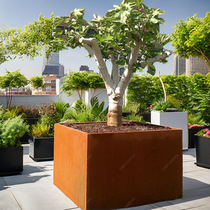 Jardinera Cuadrada Alta de Acero Corten de 16 Pulgadas, Ecológica, Estilo Rústico Americano Contemporáneo, Maceta para Interiores/Exteriores, Personalizable - Product Image 2