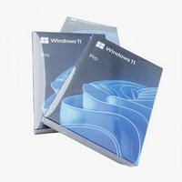 Windows 11 Pro OEM USB Aktivasi Online 100% Global, Pengiriman Cepat