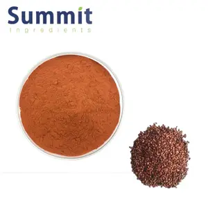 High Quality Grape Seed Extract 95% Proanthocyanidin Powder Grape Seed Extract Powder