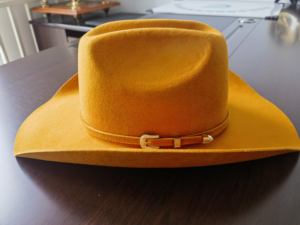 WV037 Nuevo Diseño de Sombreros Fedora Estilo Vaquero Color Dorado para Iglesia, Aire Libre y Uso Casual - Product Image 2