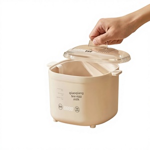 Hervidor de Huevos Doméstico, Cocedor de Huevos al Vapor con Apagado Automático y Temporizador, para Desayunos en Dormitorios, Programación de 24 Horas, Mini Gadget - Product Image 1