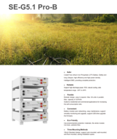 BETTENERGY Batterie au lithium 16KWh 51.2V 314kwh max avec batterie lifepo4 16kwh pour système solaire adaptée à l'onduleur Deye Growatt