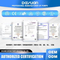 DAYUAN Pompe submersible pour puits profond en acier inoxydable de 3 pouces, 220V 50Hz avec boîtier de commande