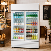 Réfrigérateur commercial vertical à porte vitrée simple, à refroidissement statique, écoénergétique, pour boissons et boissons gazeuses