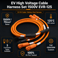 Ensemble de faisceaux de câbles haute tension pour véhicules électriques EVR-125 1500V 70mm² 125 ° Connecteurs TPE de type C, OEM personnalisés pour pack de batteries, moteur, ESS