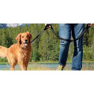 HIGH QUALITY PARACHUTE <b>LEASH</b> FOR DOGS - - Product Image 1