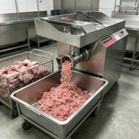 Industriële vriesvleesmolen voor de verwerking van bevroren vlees, voedselproductie en industriële apparatuur