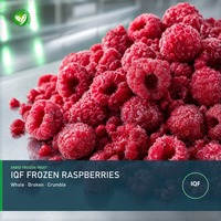 Frambuesas Congeladas XMSD OEM Mezcladas de Múltiples Variedades con Soporte de Muestras para Importadores y Fabricantes de Alimentos