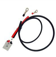 Lot de 500 câbles d'alimentation CC en cuivre isolés en PVC basse tension pour systèmes solaires, câblage informatique et projets électriques