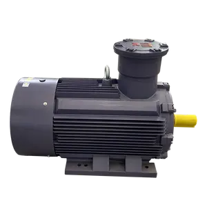 Yüksek verimli üç fazlı asenkron AC İndüksiyon motoru patlamaya dayanıklı elektrik 220 Volt AC elektrik motoru