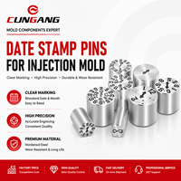 CUNGANG Insert d'indicateur de date de précision en acier inoxydable pour pièces moulées par injection, personnalisable OEM